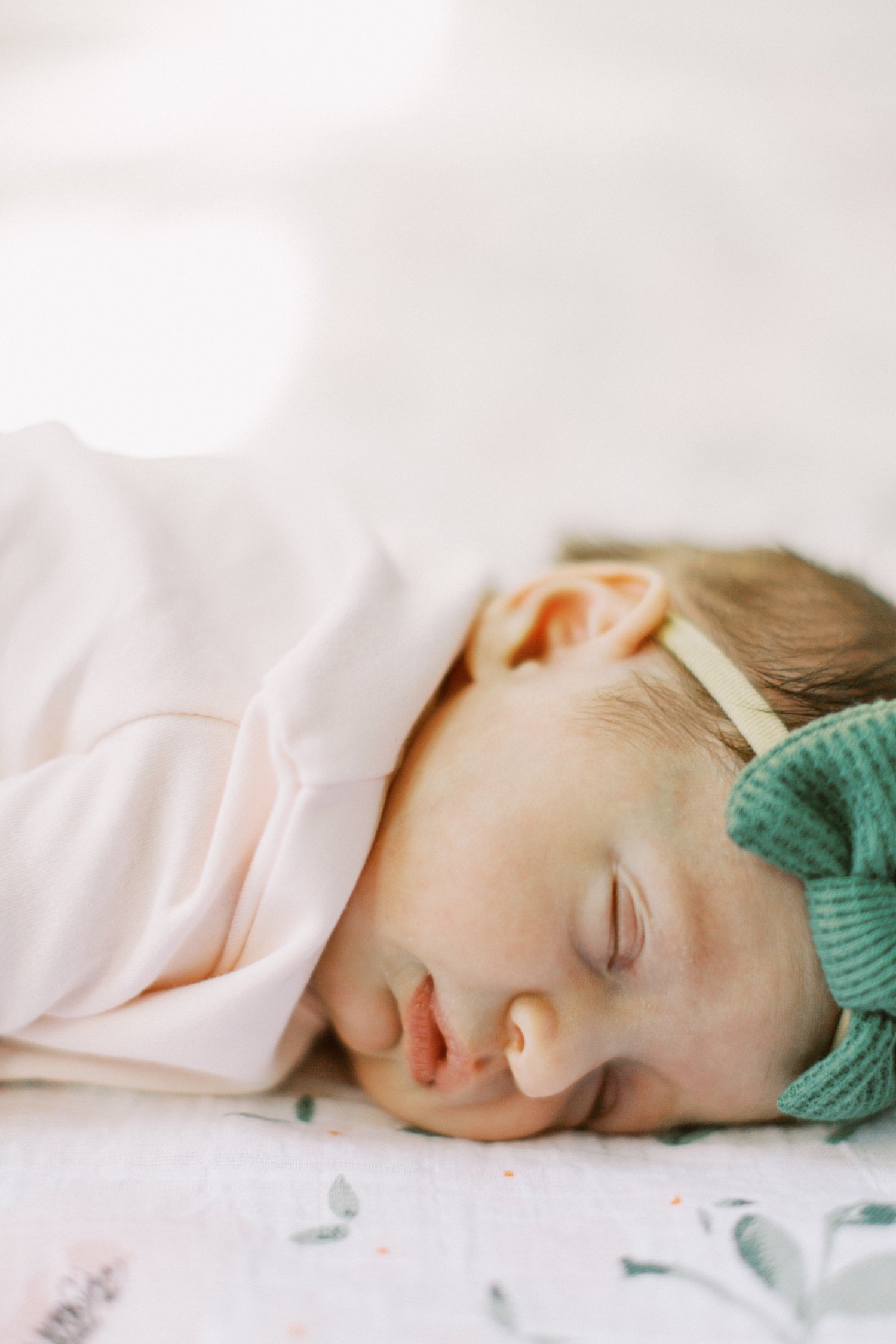 st. louis newborn photography