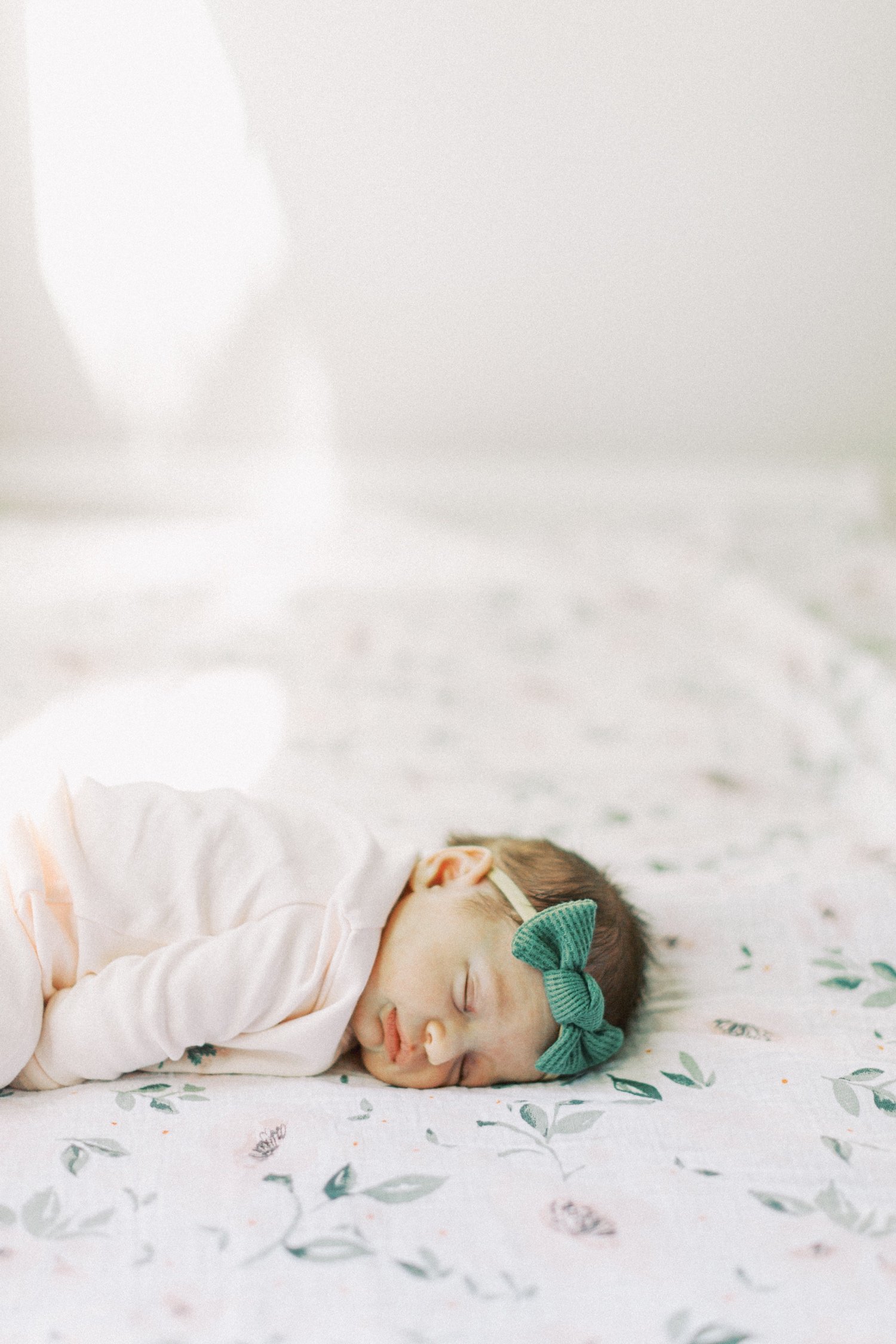 st. louis newborn photography