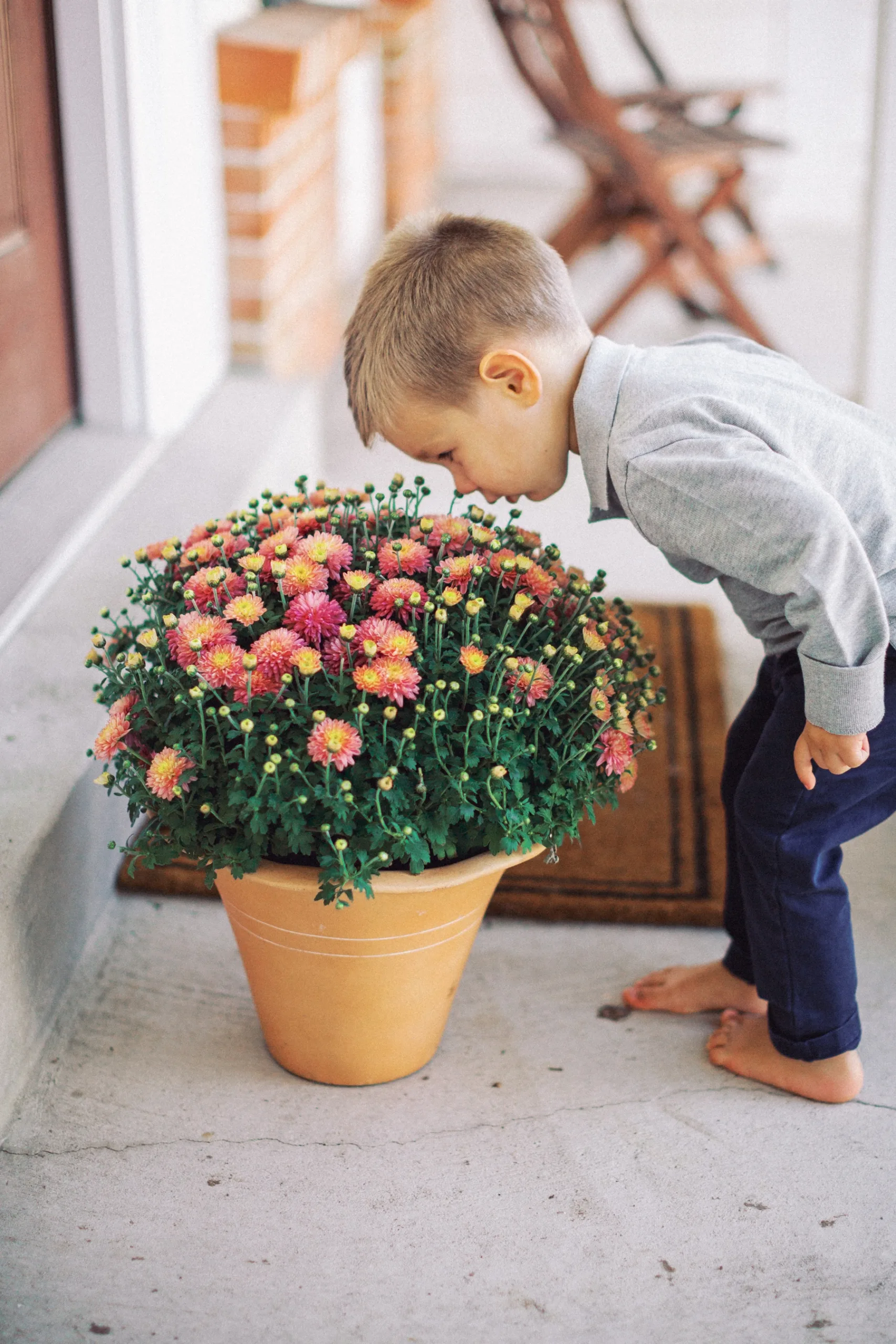 st. louis family photographer